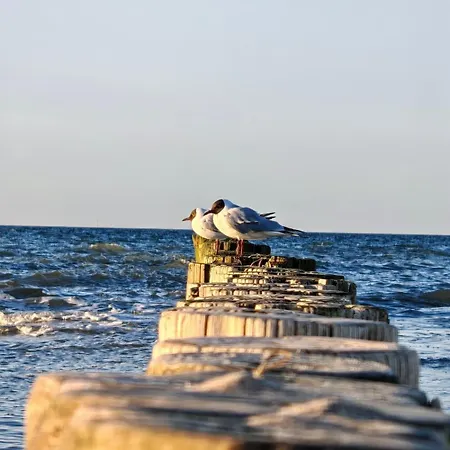 Haus Wellenreiter Zingst